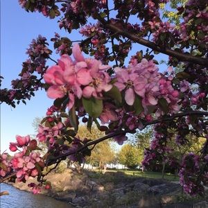 Meet your Posher, Shadow